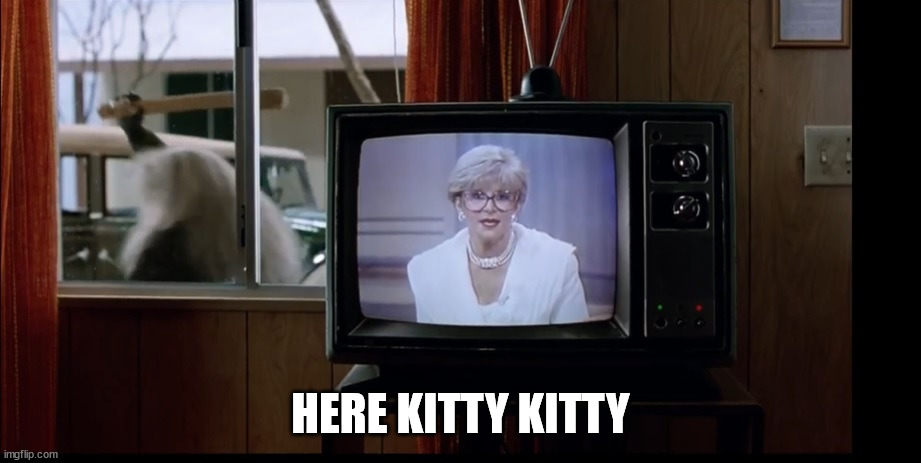 HERE KITTY KITTY | made w/ Imgflip meme maker