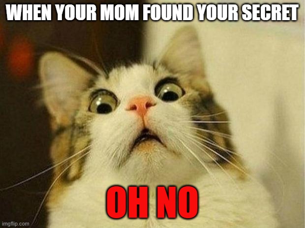 Scared Cat Meme | WHEN YOUR MOM FOUND YOUR SECRET; OH NO | image tagged in memes,scared cat | made w/ Imgflip meme maker