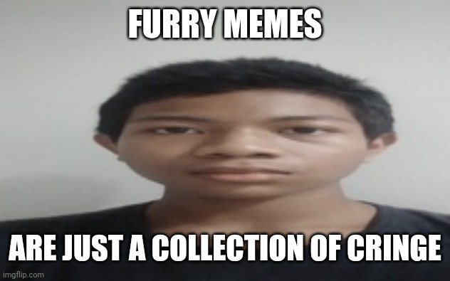 Akif | FURRY MEMES; ARE JUST A COLLECTION OF CRINGE | image tagged in akif | made w/ Imgflip meme maker