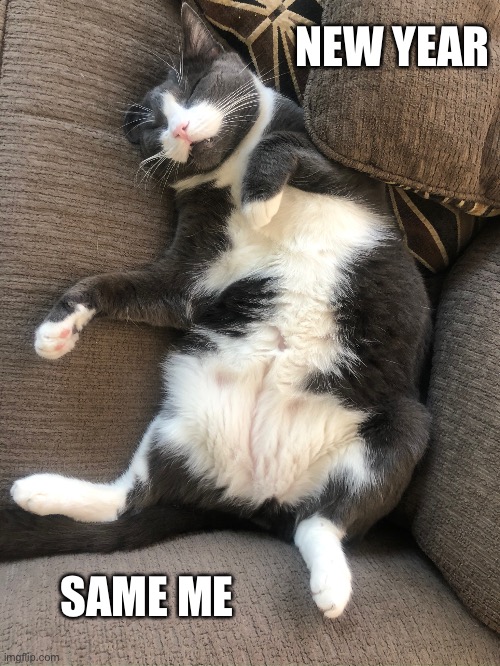 New year, same me | NEW YEAR; SAME ME | image tagged in fat cat,lazy cat,new year resolutions | made w/ Imgflip meme maker
