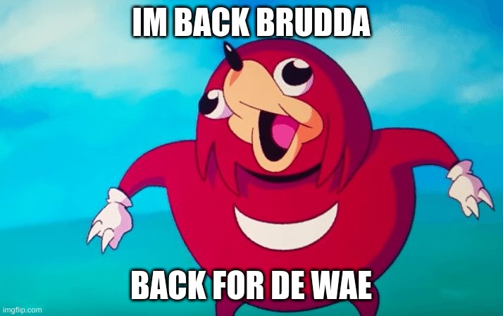 guess hes back? | IM BACK BRUDDA; BACK FOR DE WAE | image tagged in ugandan knuckles | made w/ Imgflip meme maker