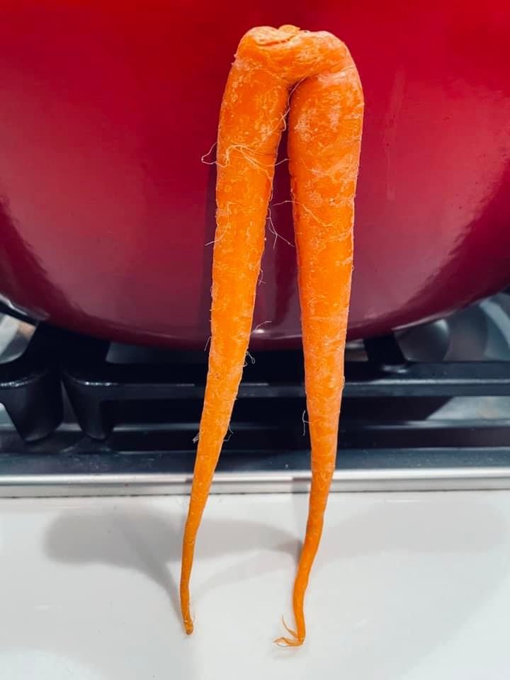 Sexy Carrots Blank Meme Template