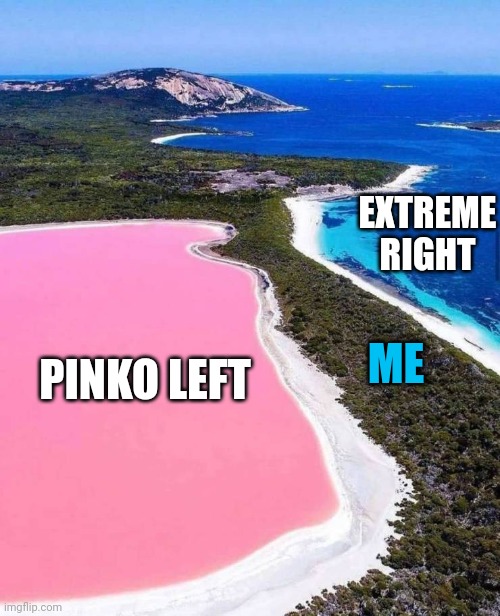 What politics feel like to me | EXTREME RIGHT; ME; PINKO LEFT | image tagged in memes | made w/ Imgflip meme maker