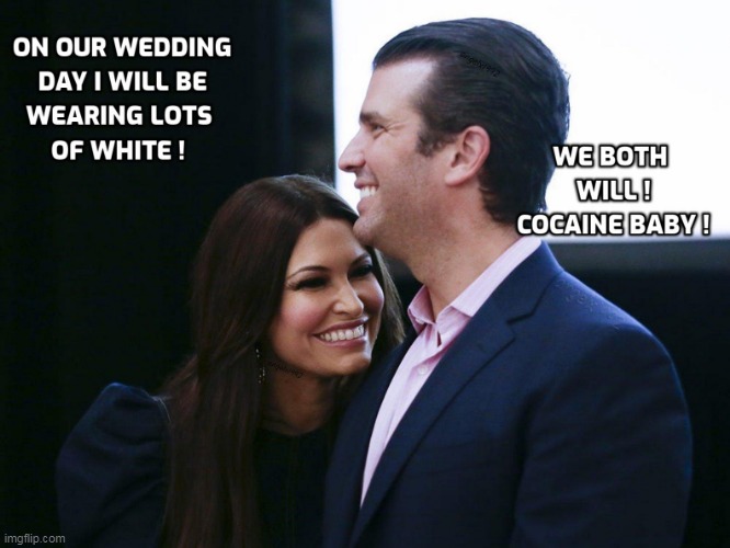 image tagged in kimberly guilfoyle,kimbobo,cocaine,clown car republicans,drug addicts,donut jr | made w/ Imgflip meme maker