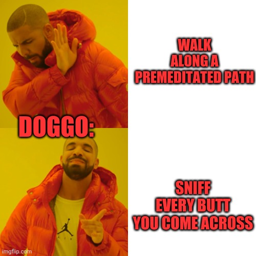 Drake Hotline Bling Meme | WALK ALONG A PREMEDITATED PATH SNIFF EVERY BUTT YOU COME ACROSS DOGGO: | image tagged in memes,drake hotline bling | made w/ Imgflip meme maker