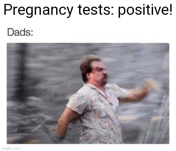 It's time to stop | Pregnancy tests: positive! | image tagged in it's time to stop,but why why would you do that,pregnancy test,dads,buying milk | made w/ Imgflip meme maker