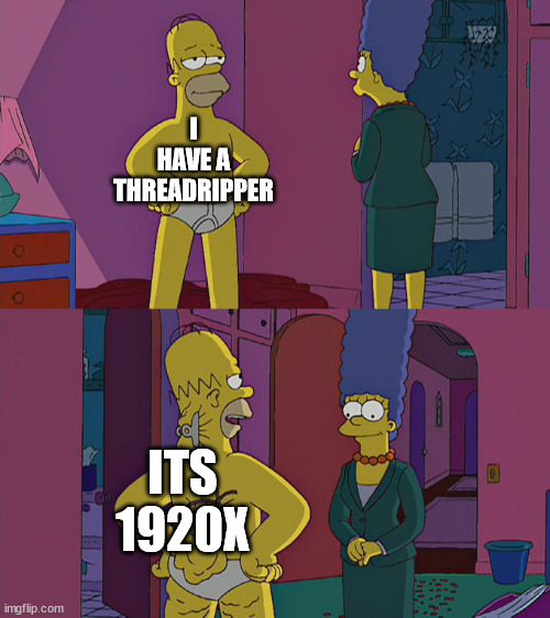 Homer Simpson's Back Fat | I HAVE A THREADRIPPER; ITS 1920X | image tagged in homer simpson's back fat | made w/ Imgflip meme maker