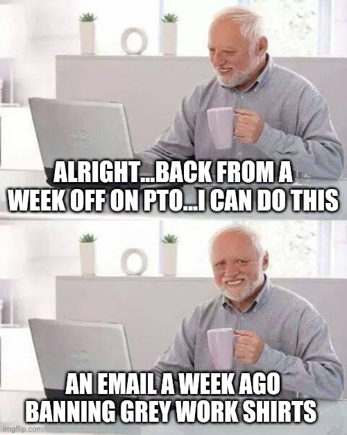 Well darn | ALRIGHT...BACK FROM A WEEK OFF ON PTO...I CAN DO THIS; AN EMAIL A WEEK AGO BANNING GREY WORK SHIRTS | image tagged in memes,hide the pain harold | made w/ Imgflip meme maker