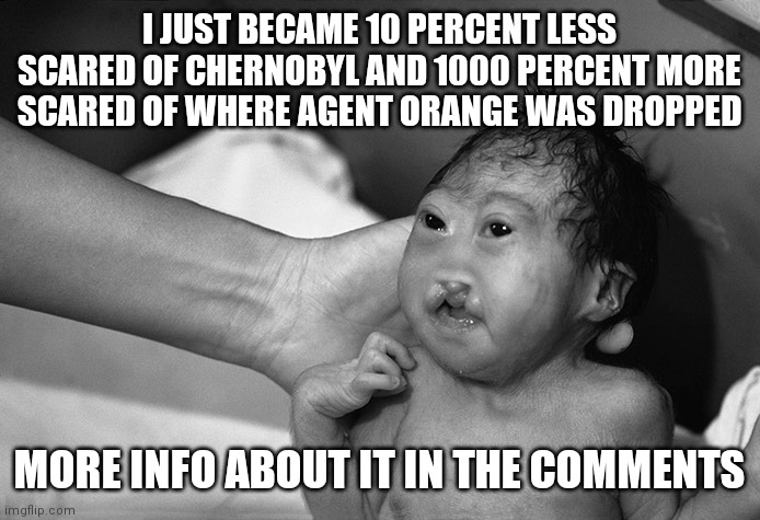 It's frickin terrifying | I JUST BECAME 10 PERCENT LESS SCARED OF CHERNOBYL AND 1000 PERCENT MORE SCARED OF WHERE AGENT ORANGE WAS DROPPED; MORE INFO ABOUT IT IN THE COMMENTS | image tagged in scary | made w/ Imgflip meme maker