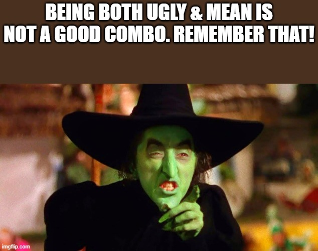 Being Both Ugly & Mean | BEING BOTH UGLY & MEAN IS NOT A GOOD COMBO. REMEMBER THAT! | image tagged in ugly,mean,wicked witch,wicked witch of the west,funny,memes | made w/ Imgflip meme maker