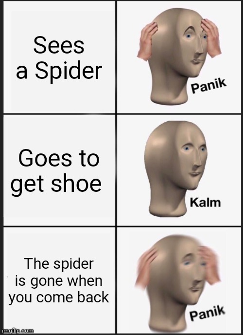 Spider | Sees a Spider; Goes to get shoe; The spider is gone when you come back | image tagged in memes,panik kalm panik | made w/ Imgflip meme maker
