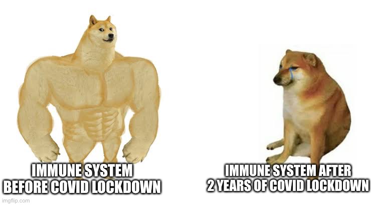 Immune system before after covid lockdown | IMMUNE SYSTEM BEFORE COVID LOCKDOWN; IMMUNE SYSTEM AFTER 2 YEARS OF COVID LOCKDOWN | image tagged in strong doge weak doge | made w/ Imgflip meme maker