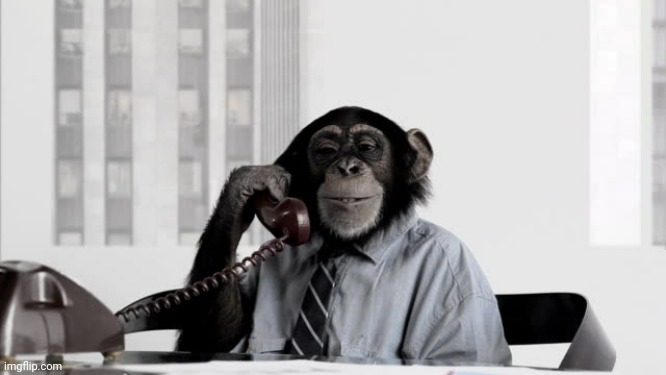 monke is calling, pick up the phone. | made w/ Imgflip meme maker