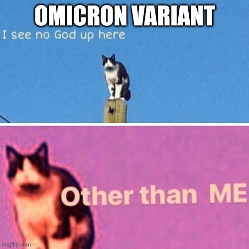 Omicron goin ham | OMICRON VARIANT | image tagged in hail pole cat | made w/ Imgflip meme maker