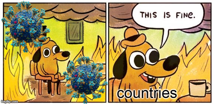 This Is Fine Meme | countries | image tagged in memes,this is fine | made w/ Imgflip meme maker