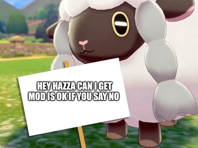 I’m not gonna say please | HEY HAZZA CAN I GET MOD IS OK IF YOU SAY NO | image tagged in wooloo blank sign | made w/ Imgflip meme maker