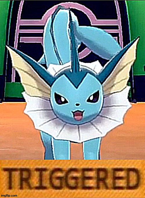 your an idiot | image tagged in vaporeon triggered | made w/ Imgflip meme maker