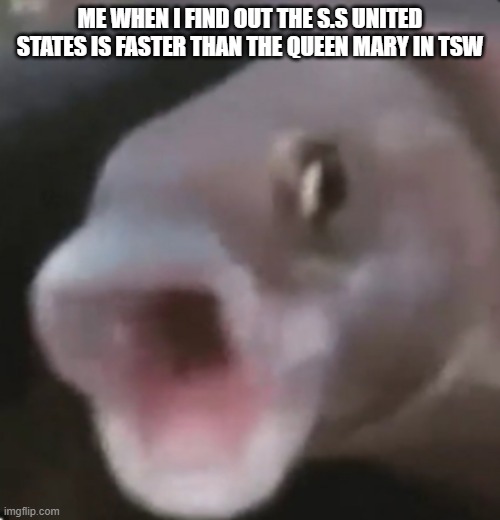 now i can catch up to anything | ME WHEN I FIND OUT THE S.S UNITED STATES IS FASTER THAN THE QUEEN MARY IN TSW | image tagged in poggers fish | made w/ Imgflip meme maker