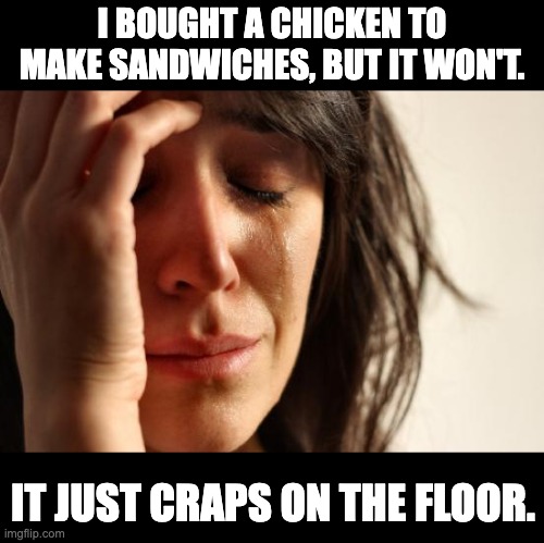 You can't make chicken salad out of chicken sh!t | I BOUGHT A CHICKEN TO MAKE SANDWICHES, BUT IT WON'T. IT JUST CRAPS ON THE FLOOR. | image tagged in memes,first world problems | made w/ Imgflip meme maker