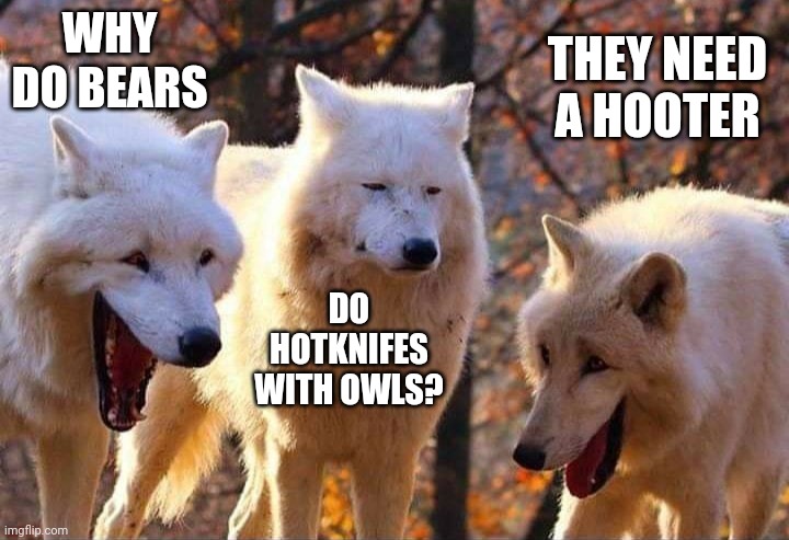 Laughing wolf | WHY DO BEARS; THEY NEED A HOOTER; DO HOTKNIFES WITH OWLS? | image tagged in laughing wolf | made w/ Imgflip meme maker