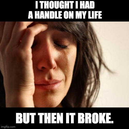 Can't handle it | I THOUGHT I HAD A HANDLE ON MY LIFE; BUT THEN IT BROKE. | image tagged in memes,first world problems | made w/ Imgflip meme maker