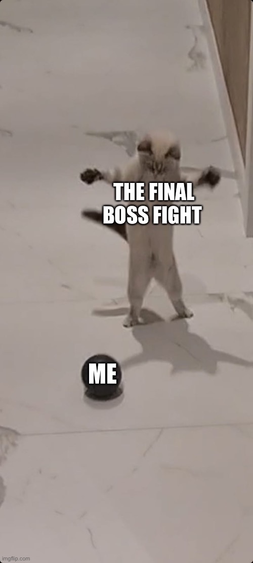 Final boss fight vs me | THE FINAL BOSS FIGHT; ME | image tagged in gaming,cats | made w/ Imgflip meme maker