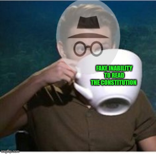 Incognito problems | FAKE INABILITY TO READ THE CONSTITUTION | image tagged in incognito,problems,tea,read the law | made w/ Imgflip meme maker