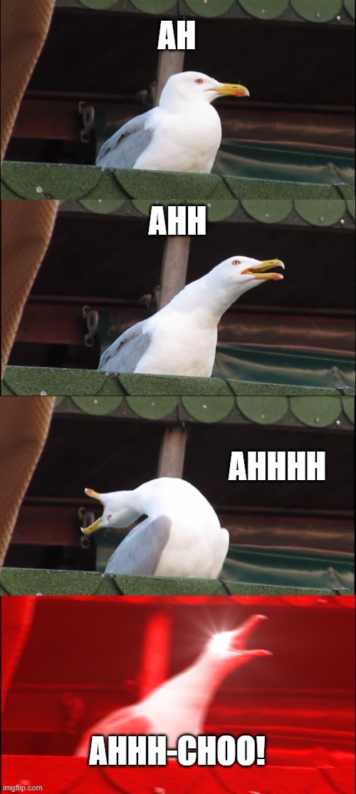 inhaling seagull | AH; AHH; AHHHH; AHHH-CHOO! | image tagged in memes,inhaling seagull,funny | made w/ Imgflip meme maker