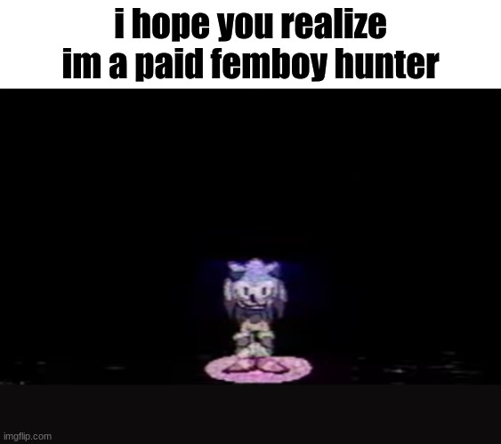 and its femboy season | i hope you realize im a paid femboy hunter | image tagged in needlemouse stare | made w/ Imgflip meme maker