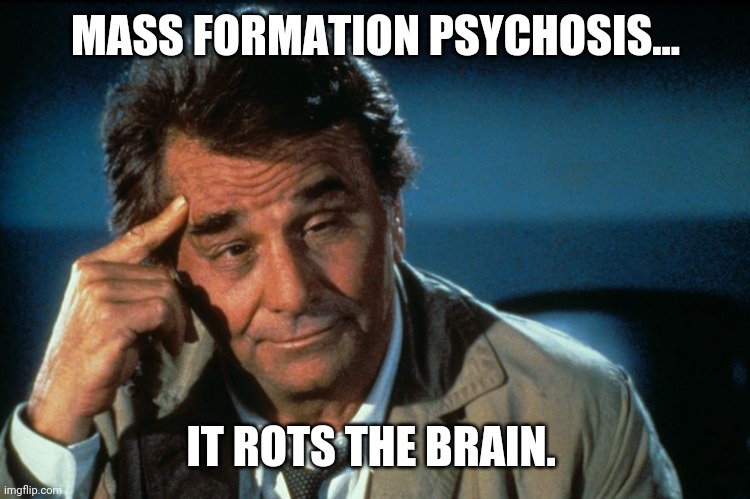 It does. | MASS FORMATION PSYCHOSIS... IT ROTS THE BRAIN. | image tagged in memes | made w/ Imgflip meme maker