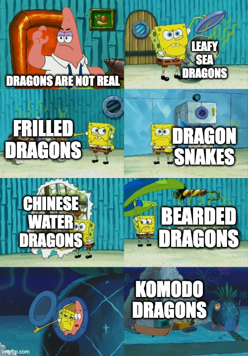 Lol, dragons live on Earth |  LEAFY SEA DRAGONS; DRAGONS ARE NOT REAL; FRILLED DRAGONS; DRAGON SNAKES; CHINESE WATER DRAGONS; BEARDED DRAGONS; KOMODO DRAGONS | image tagged in spongebob diapers meme | made w/ Imgflip meme maker