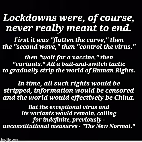 Lockdowns Were, of Course, Never Really Meant to End. | Lockdowns were, of course, never really meant to end. First it was "flatten the curve," then the "second wave," then "control the virus."; then "wait for a vaccine," then "variants." All a bait-and-switch tactic to gradually strip the world of Human Rights. In time, all such rights would be stripped, information would be censored and the world would effectively be China. But the exceptional virus and its variants would remain, calling for indefinite, previously - unconstitutional measures - "The New Normal." | image tagged in lockdown,human rights,disappearing,freedom,aaaaand its gone | made w/ Imgflip meme maker