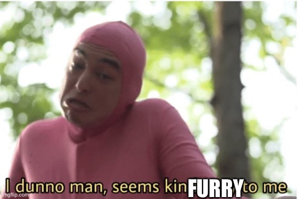 I dunno man seems kinda gay to me | FURRY | image tagged in i dunno man seems kinda gay to me | made w/ Imgflip meme maker