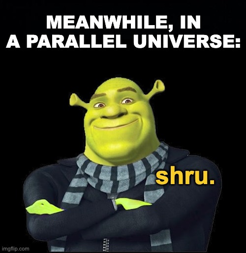An amazing, beautiful, live-changing title | MEANWHILE, IN A PARALLEL UNIVERSE:; shru. | image tagged in memes,unfunny | made w/ Imgflip meme maker