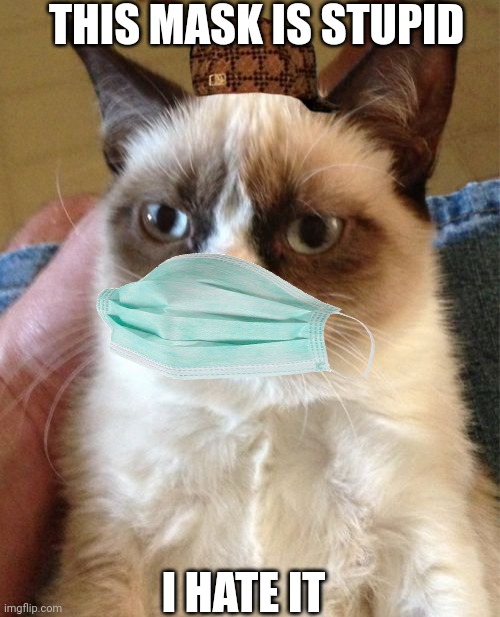Grumpy Cat Meme | THIS MASK IS STUPID; I HATE IT | image tagged in memes,grumpy cat,face mask,scumbag,mask | made w/ Imgflip meme maker