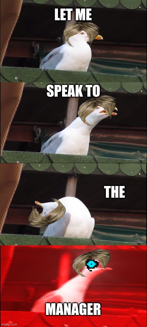 karens be like |  LET ME; SPEAK TO; THE; MANAGER | image tagged in memes,inhaling seagull,karens | made w/ Imgflip meme maker