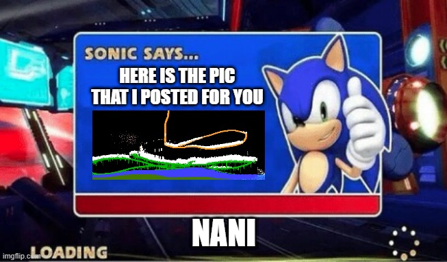 lol | HERE IS THE PIC THAT I POSTED FOR YOU; NANI | image tagged in sonic says | made w/ Imgflip meme maker