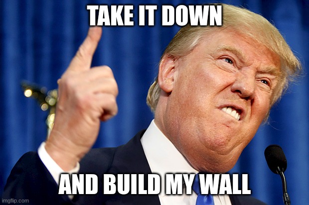 Donald Trump | TAKE IT DOWN AND BUILD MY WALL | image tagged in donald trump | made w/ Imgflip meme maker