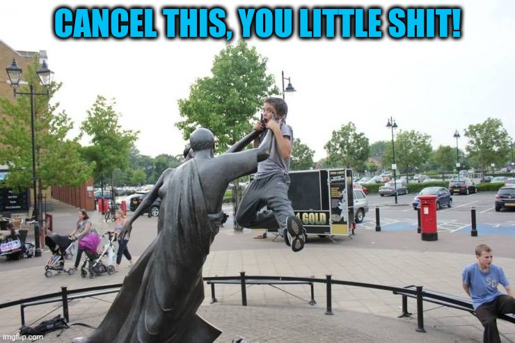 Statues fight back | CANCEL THIS, YOU LITTLE SHIT! | image tagged in memes,whatever | made w/ Imgflip meme maker