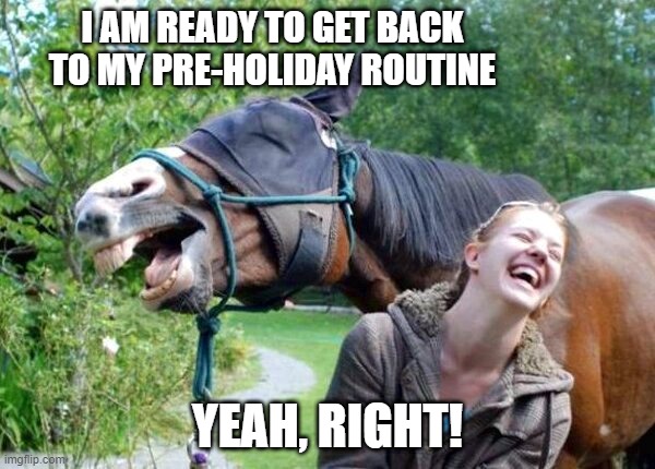 Laughing Horse |  I AM READY TO GET BACK TO MY PRE-HOLIDAY ROUTINE; YEAH, RIGHT! | image tagged in laughing horse | made w/ Imgflip meme maker