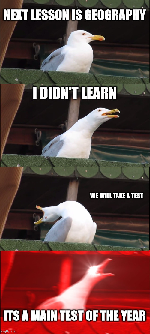 Me in school | NEXT LESSON IS GEOGRAPHY; I DIDN'T LEARN; WE WILL TAKE A TEST; ITS A MAIN TEST OF THE YEAR | image tagged in memes,inhaling seagull | made w/ Imgflip meme maker