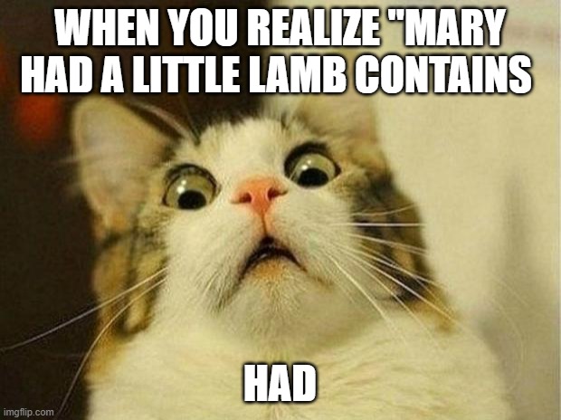 Scared Cat Meme | WHEN YOU REALIZE "MARY HAD A LITTLE LAMB CONTAINS; HAD | image tagged in memes,scared cat | made w/ Imgflip meme maker