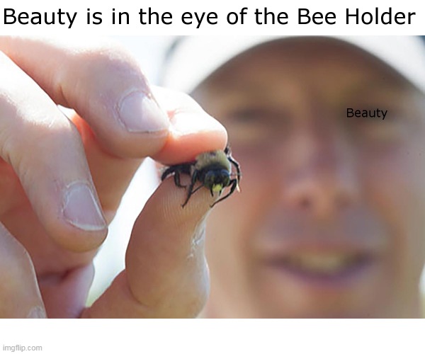 Bee Holder | image tagged in bees,beauty,memes | made w/ Imgflip meme maker