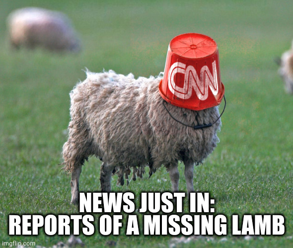 cnn bucket sheep | NEWS JUST IN:
REPORTS OF A MISSING LAMB | image tagged in cnn bucket sheep | made w/ Imgflip meme maker