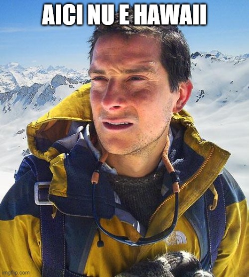 Bear Grylls |  AICI NU E HAWAII | image tagged in memes,bear grylls | made w/ Imgflip meme maker