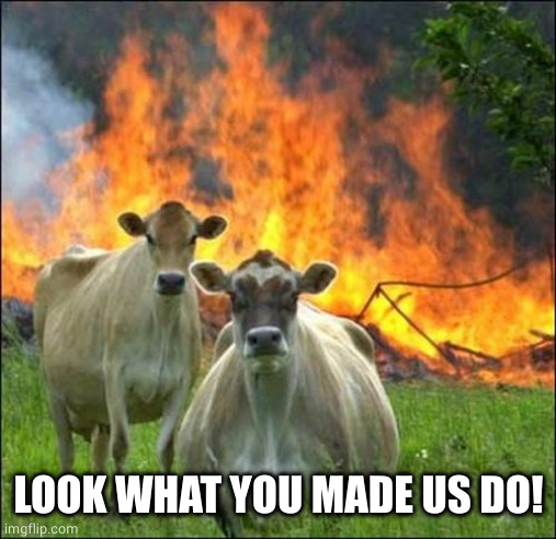 Evil Cows Meme | LOOK WHAT YOU MADE US DO! | image tagged in memes,evil cows | made w/ Imgflip meme maker