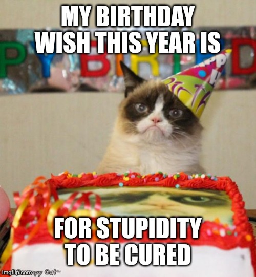 Grumpy Cat Birthday Meme | MY BIRTHDAY WISH THIS YEAR IS; FOR STUPIDITY TO BE CURED | image tagged in memes,grumpy cat birthday,grumpy cat | made w/ Imgflip meme maker