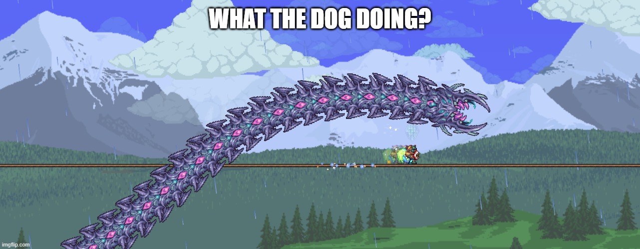 lmao dog | WHAT THE DOG DOING? | image tagged in calamity | made w/ Imgflip meme maker