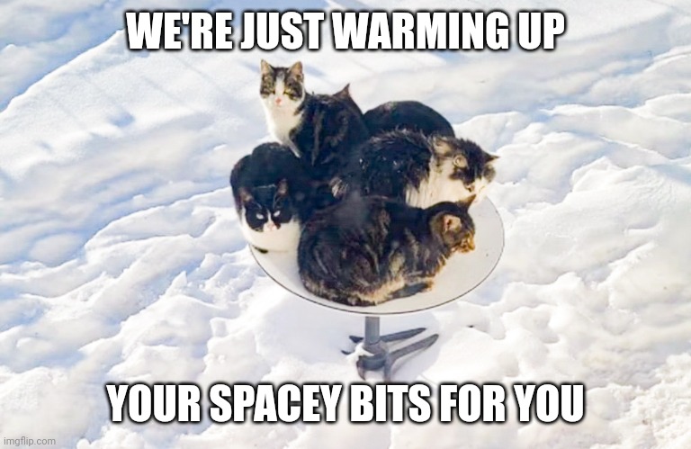 Spacey bits | WE'RE JUST WARMING UP; YOUR SPACEY BITS FOR YOU | image tagged in cats are awesome | made w/ Imgflip meme maker