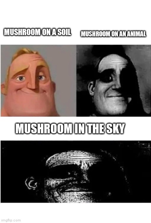 Wow tittle | MUSHROOM ON AN ANIMAL; MUSHROOM ON A SOIL; MUSHROOM IN THE SKY | image tagged in traumatized mr incredible 3 parts | made w/ Imgflip meme maker